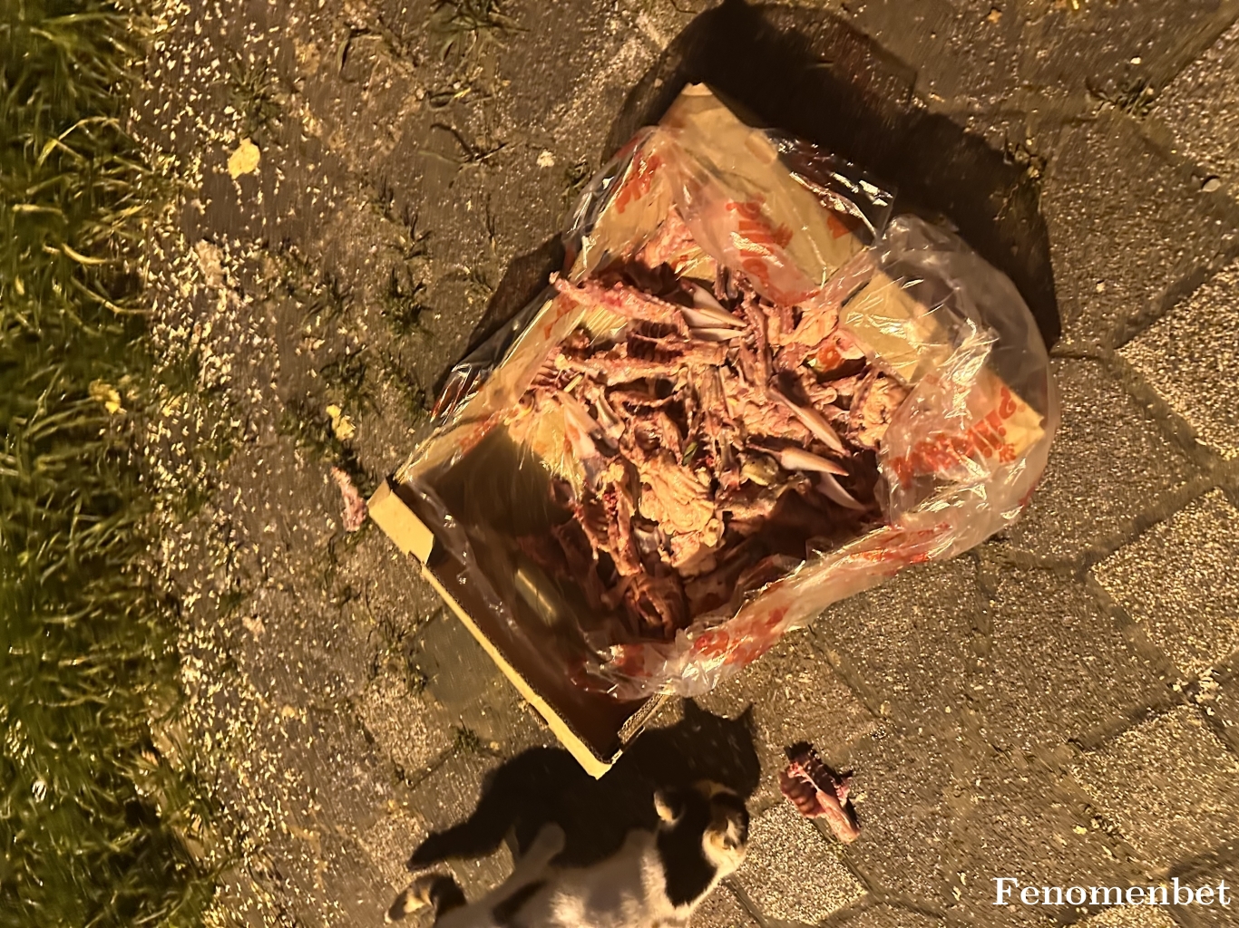 an5252 tarafından paylaşıldı