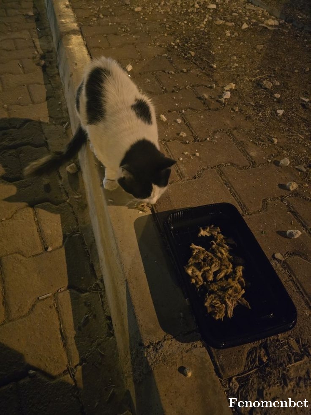 ByOzzkan tarafından paylaşıldı