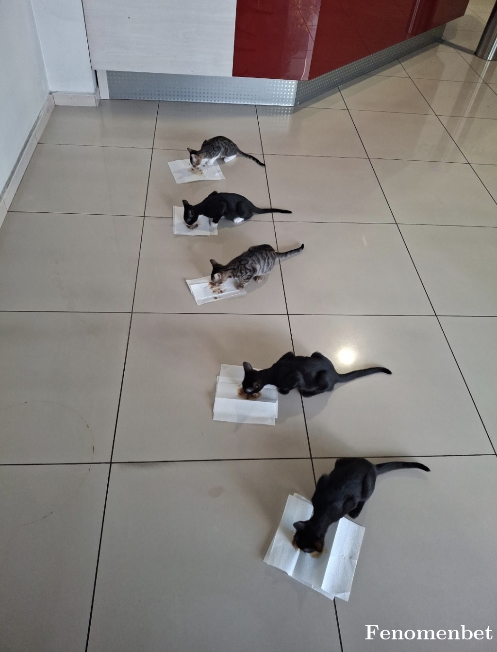 Cihat07 tarafından paylaşıldı