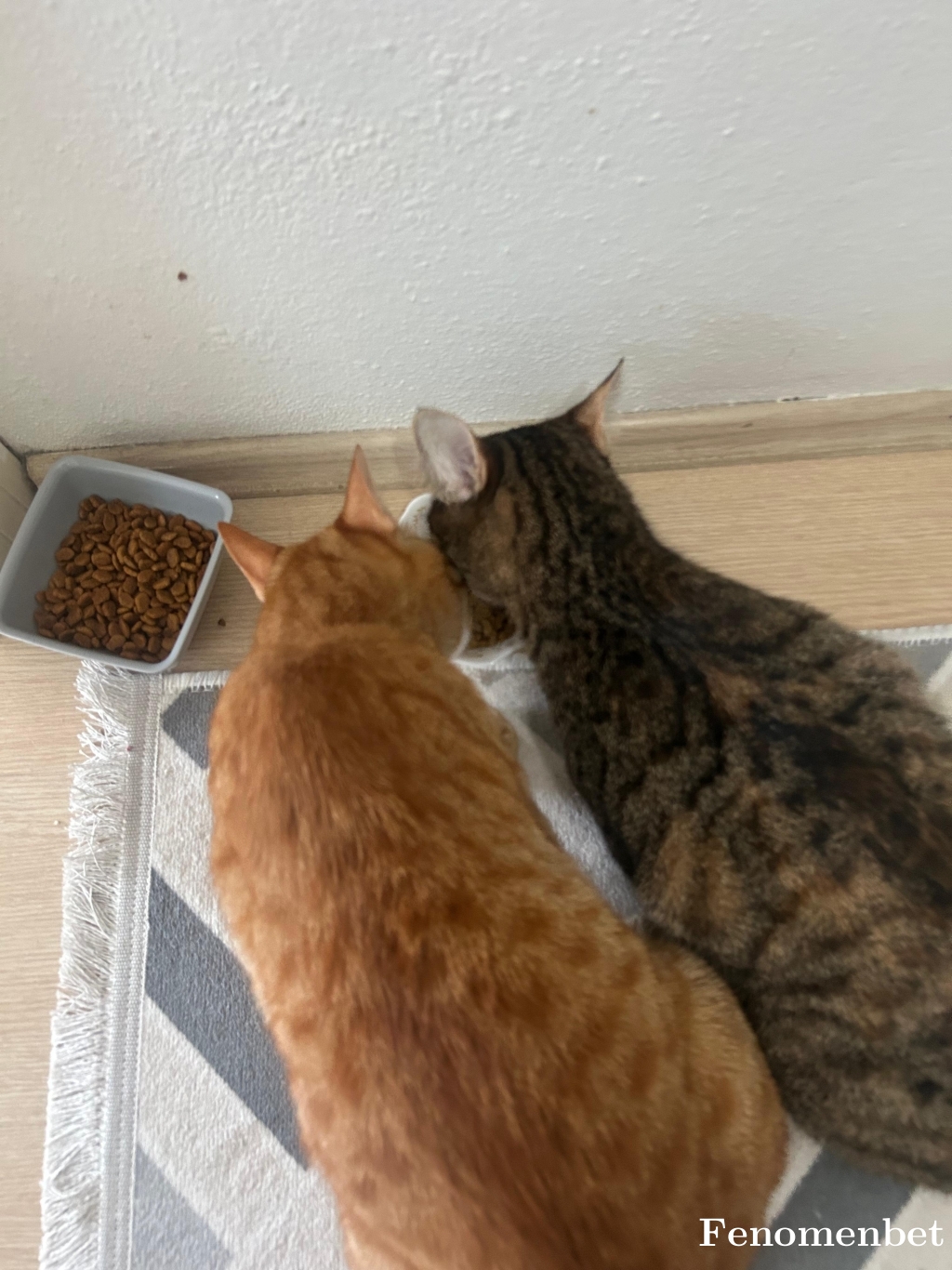 Roma13 tarafından paylaşıldı