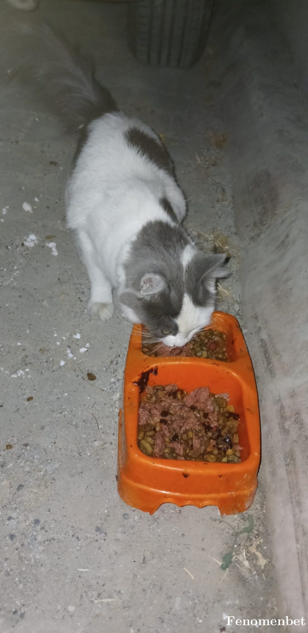 Haticeem tarafından paylaşıldı