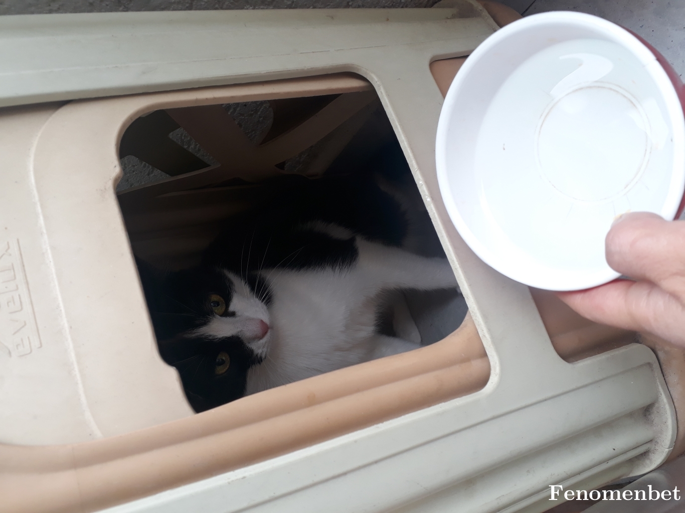 Edda026 tarafından paylaşıldı