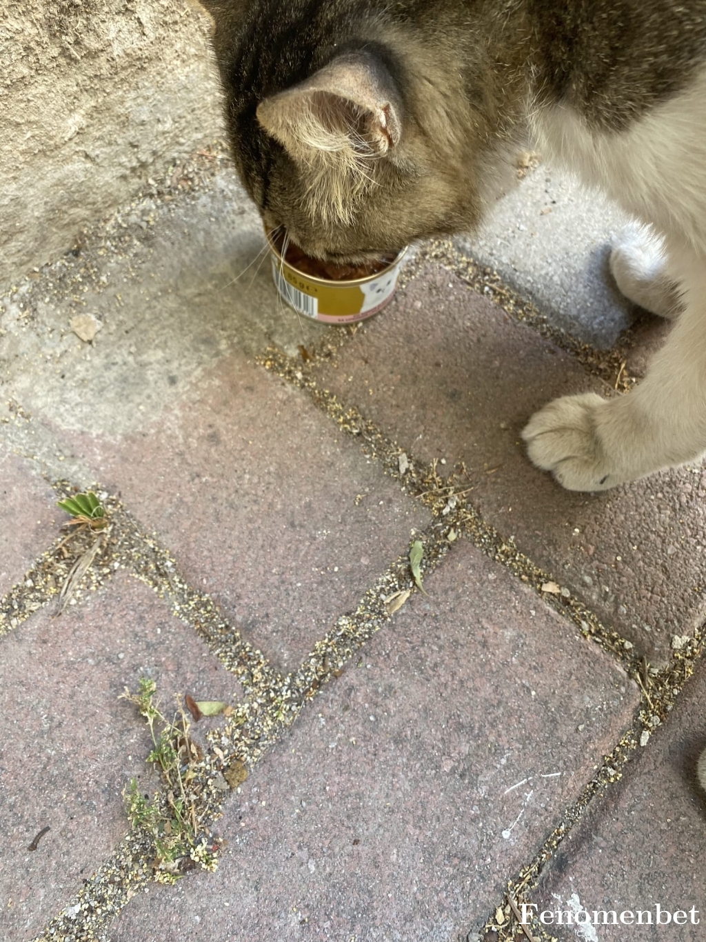 murat1980 tarafından paylaşıldı