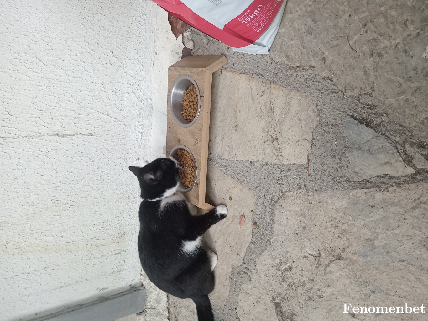 Hakim4572 tarafından paylaşıldı