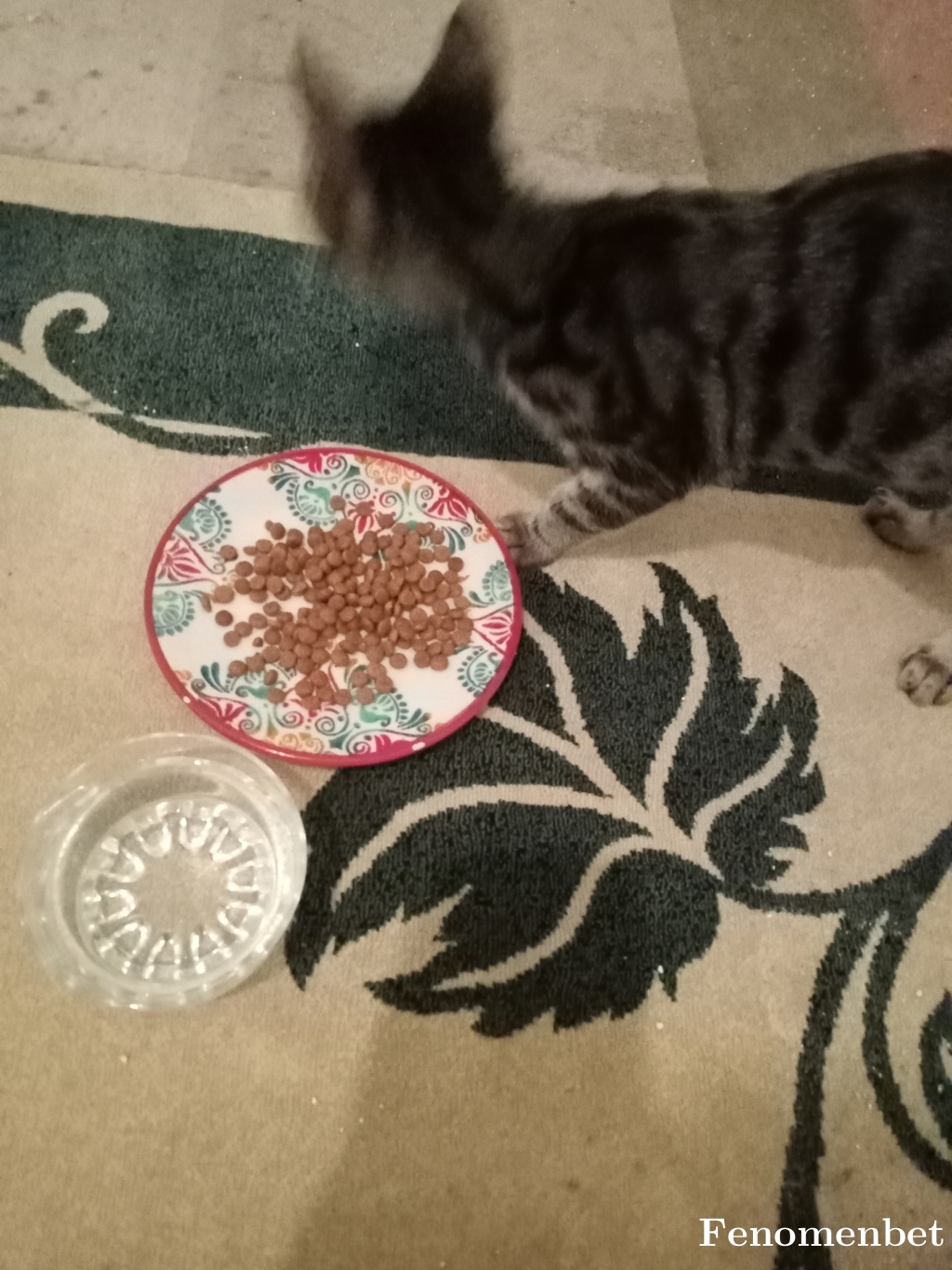 Bomerman tarafından paylaşıldı