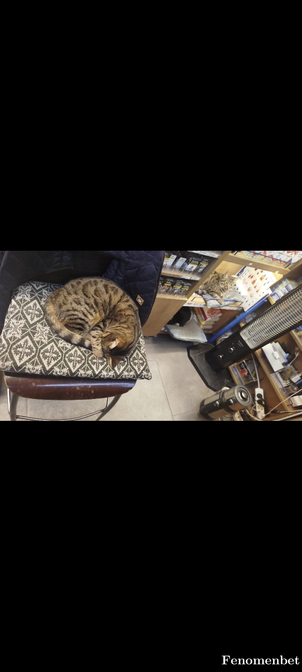 ilhan06arkan tarafından paylaşıldı