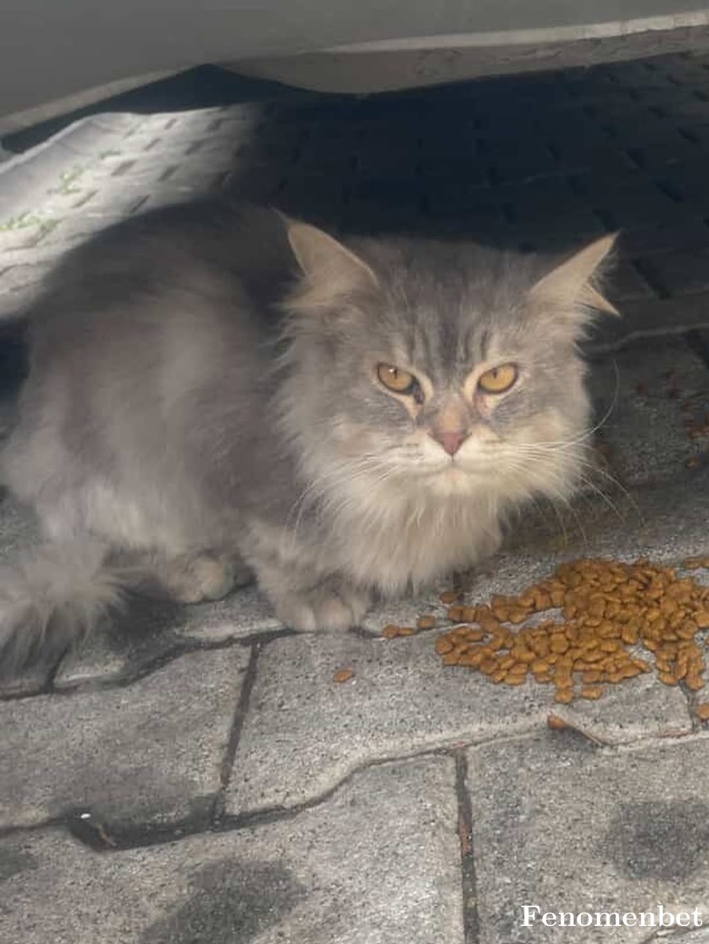 zazacan1212 tarafından paylaşıldı