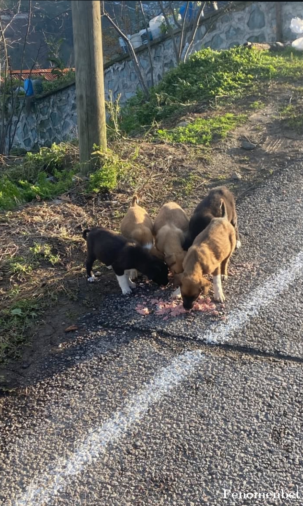 turgay082 tarafından paylaşıldı