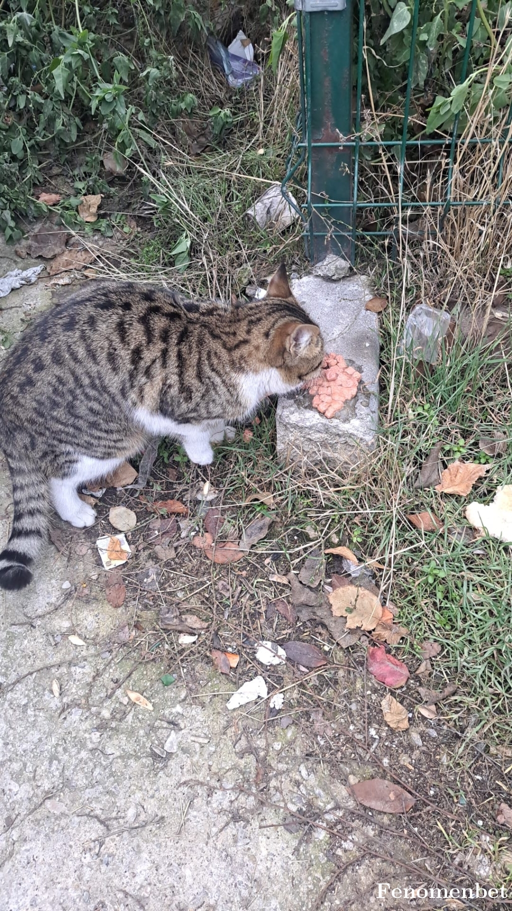 ceyhuncbn tarafından paylaşıldı