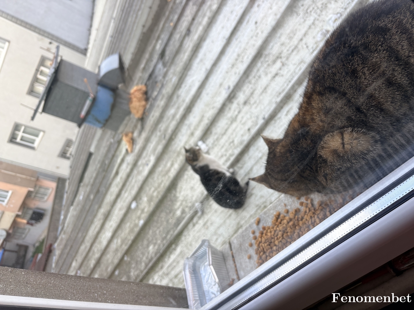 Ozcem16 tarafından paylaşıldı