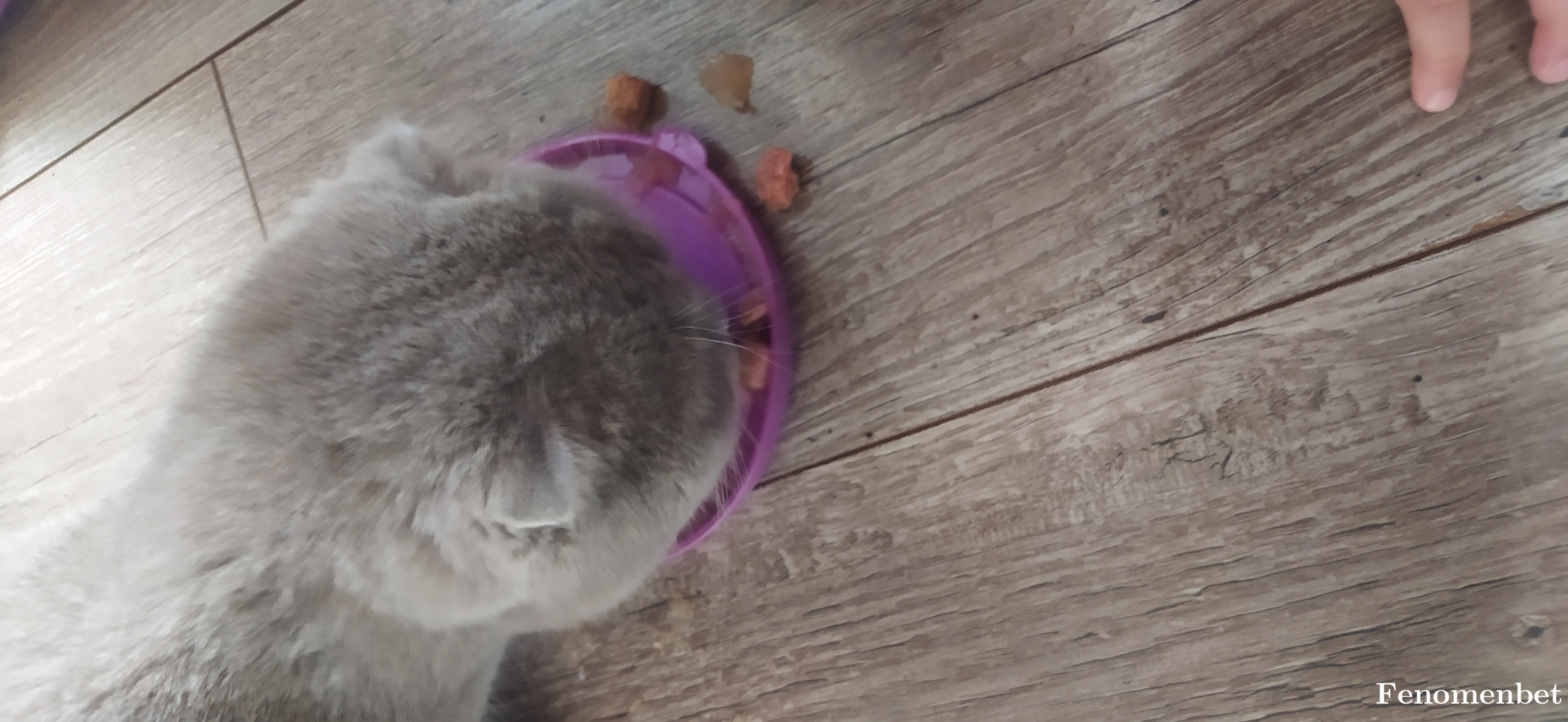 Aryam27 tarafından paylaşıldı