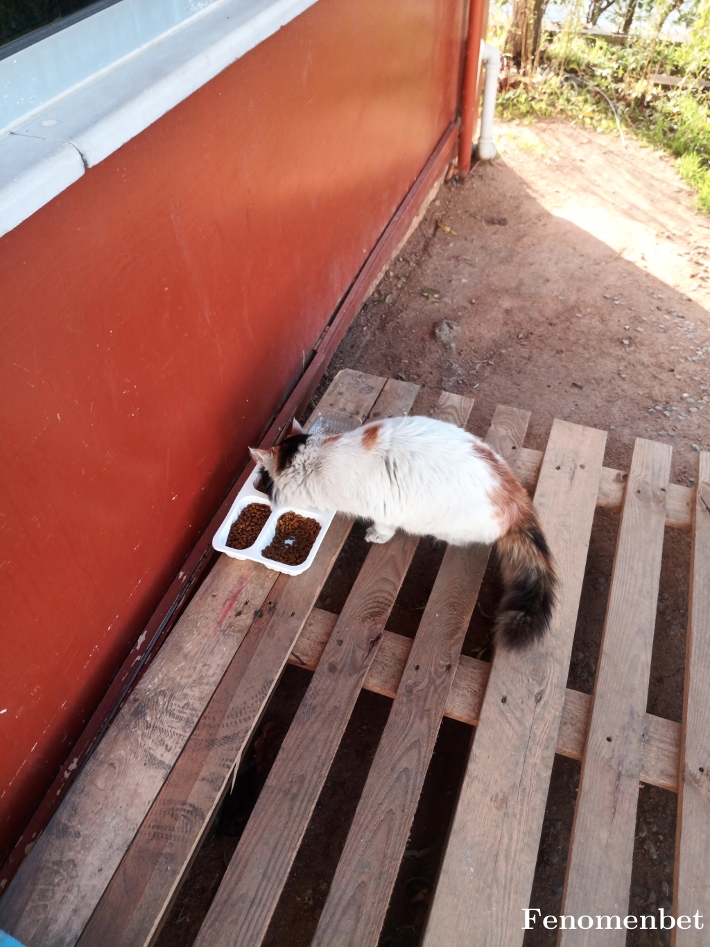 metehkn tarafından paylaşıldı