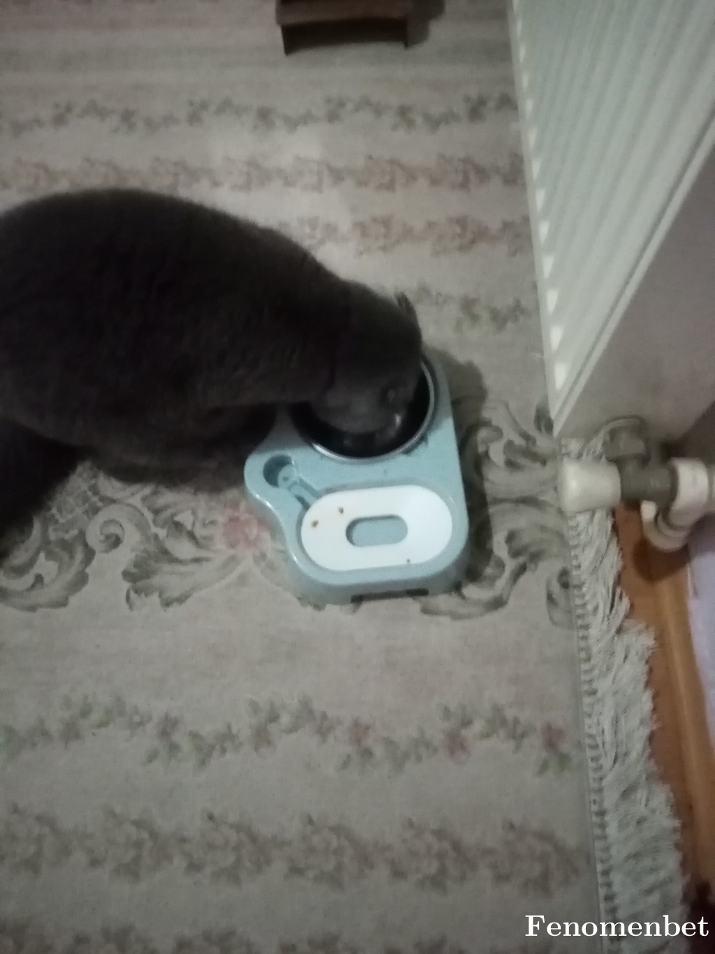 Baris1025 tarafından paylaşıldı