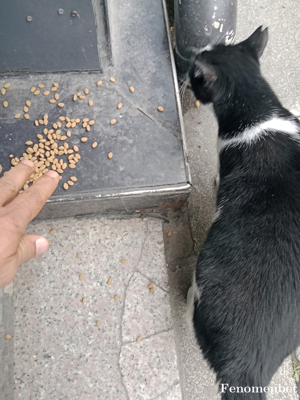 Esmeronur tarafından paylaşıldı