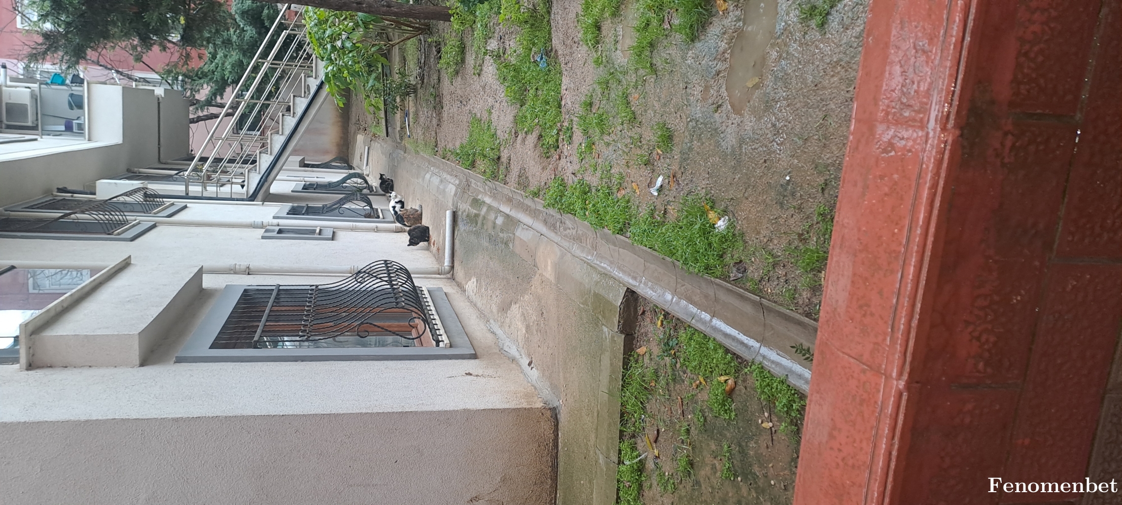 Badobado  tarafından paylaşıldı