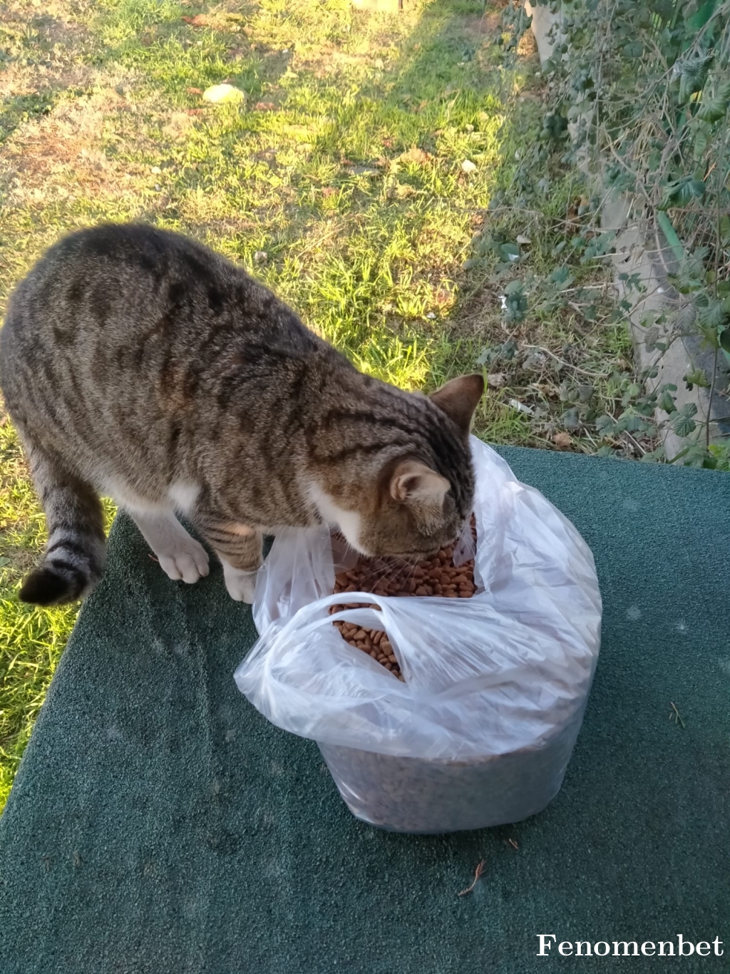 ustaromantik  tarafından paylaşıldı