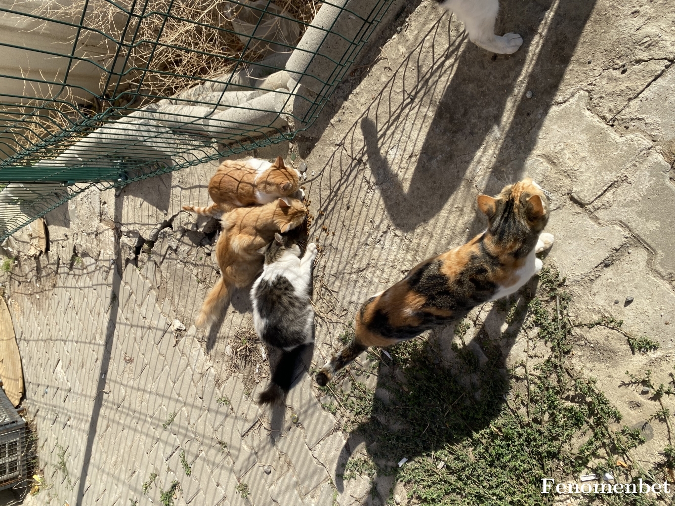 javam5900 tarafından paylaşıldı