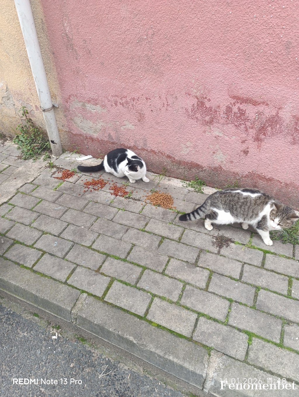 Mbgb42  tarafından paylaşıldı