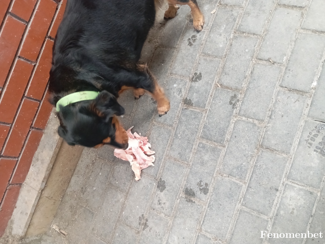 Yunus242 tarafından paylaşıldı