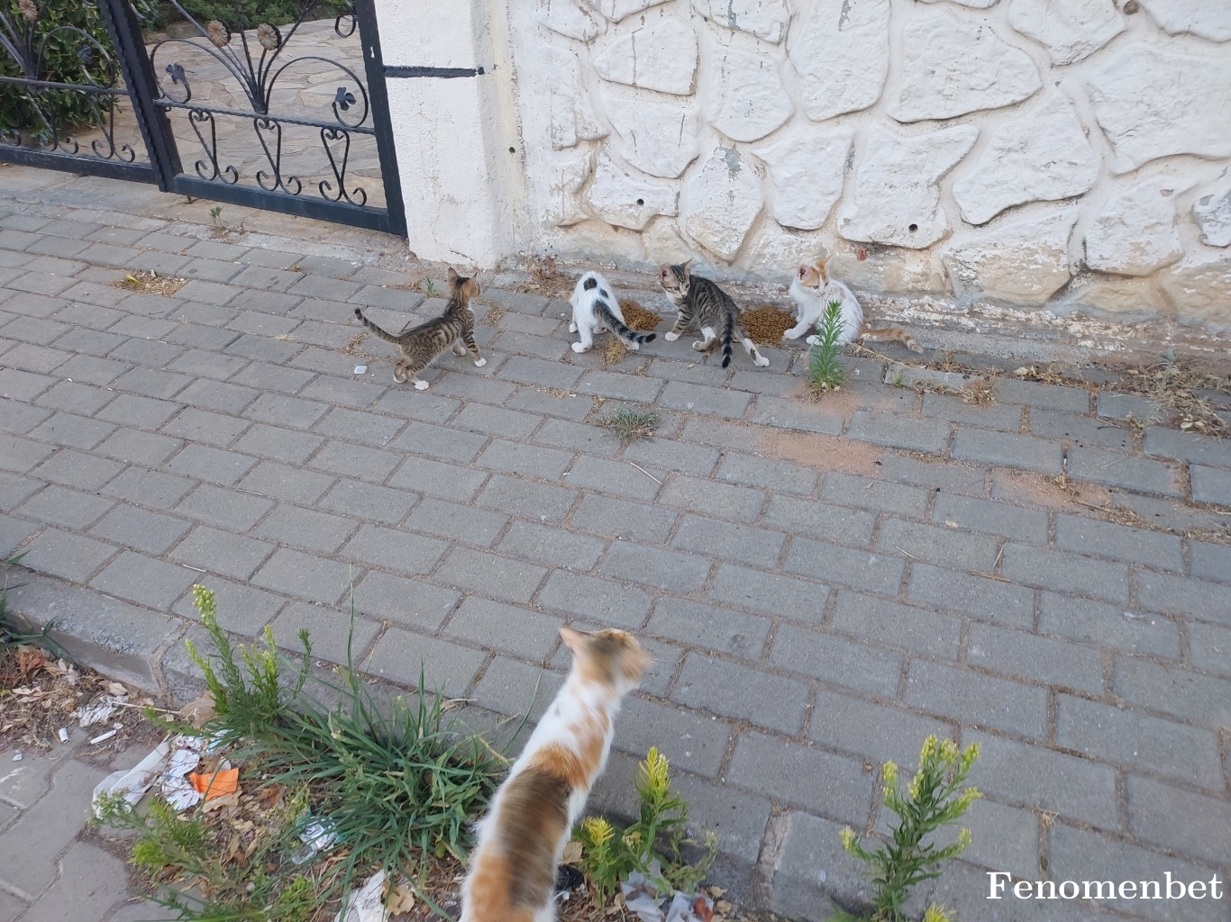 Tipitip tarafından paylaşıldı