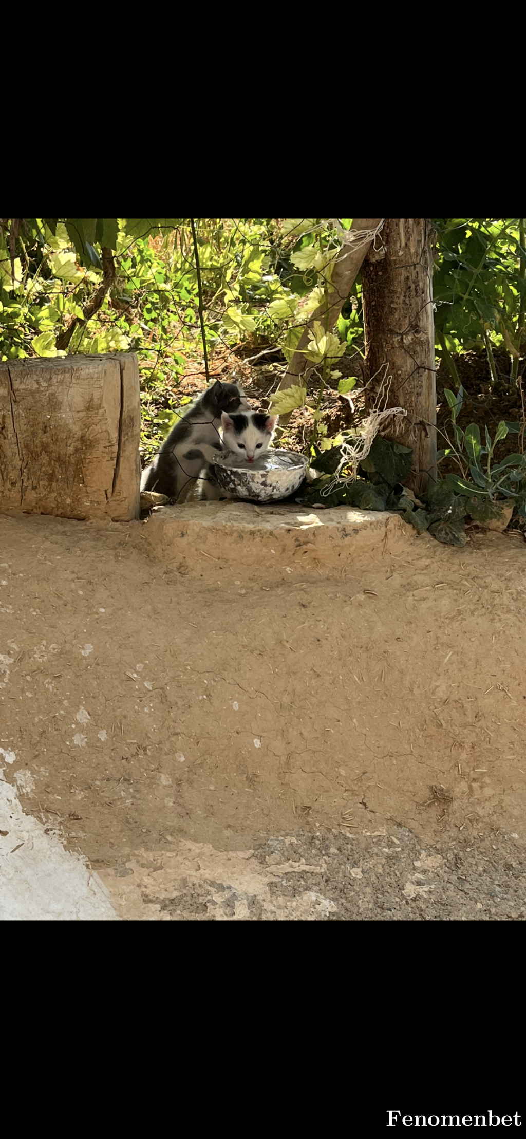 Erkanb70 tarafından paylaşıldı