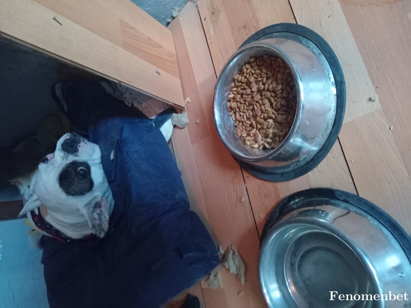 Offshoree tarafından paylaşıldı