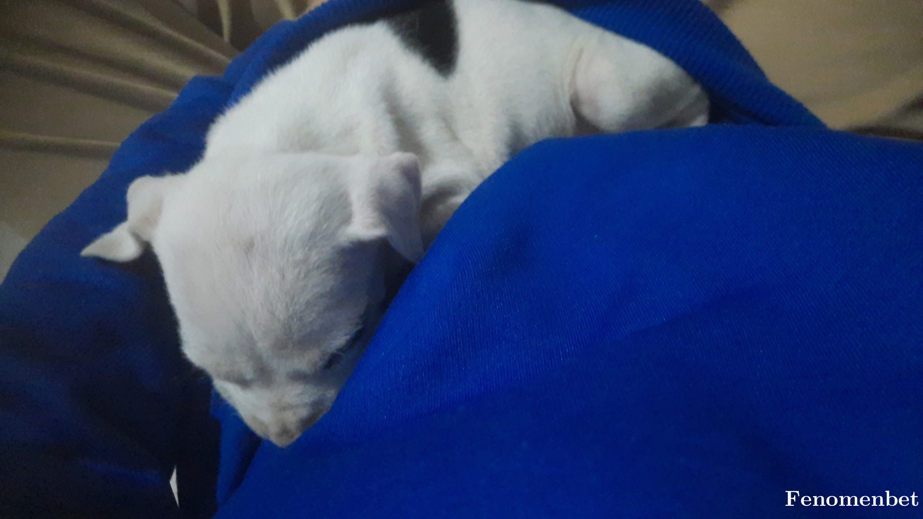 Esra77 tarafından paylaşıldı