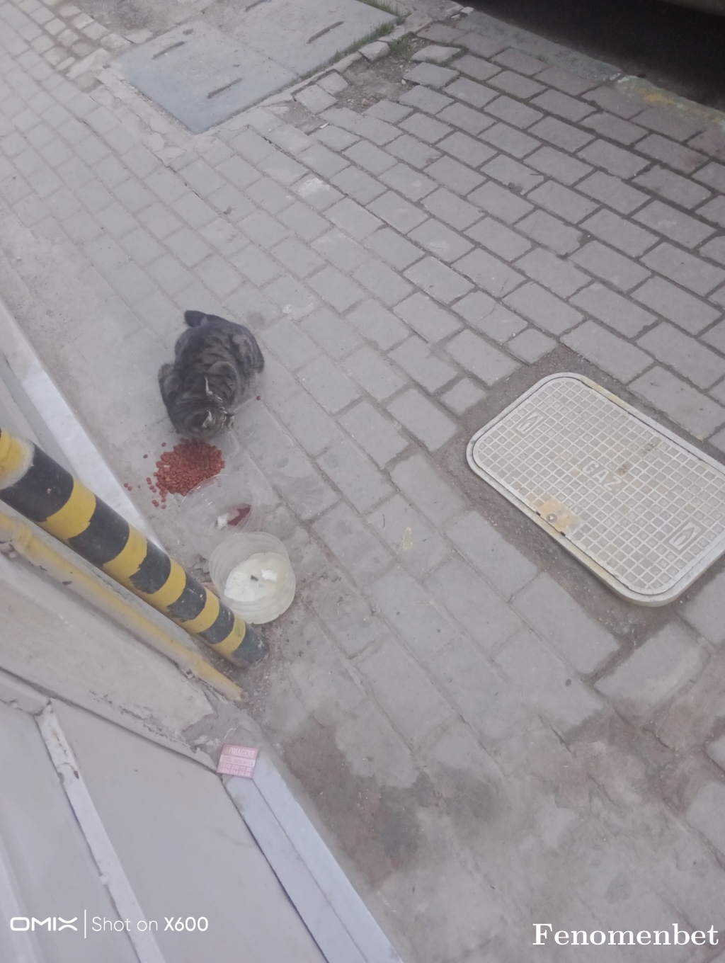 sefamurattuna tarafından paylaşıldı