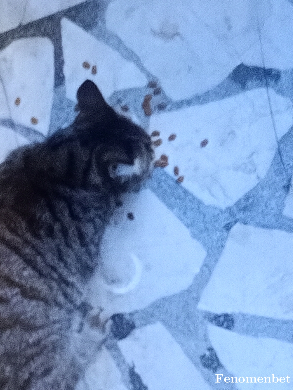 Hkn1629 tarafından paylaşıldı