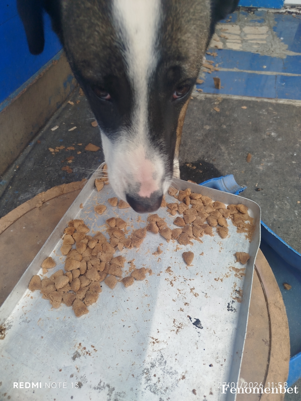 Koko46 tarafından paylaşıldı