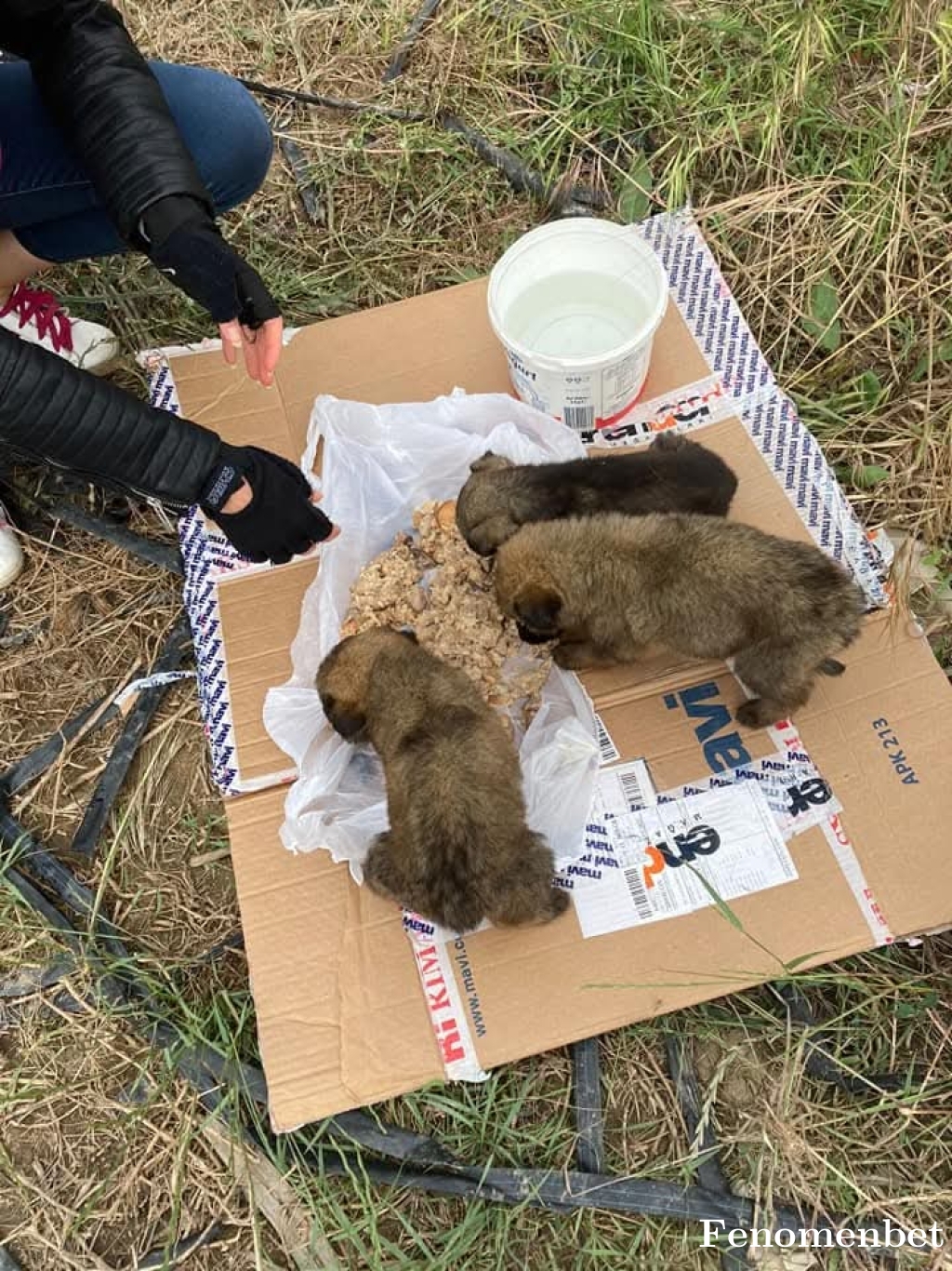 Bars49 tarafından paylaşıldı