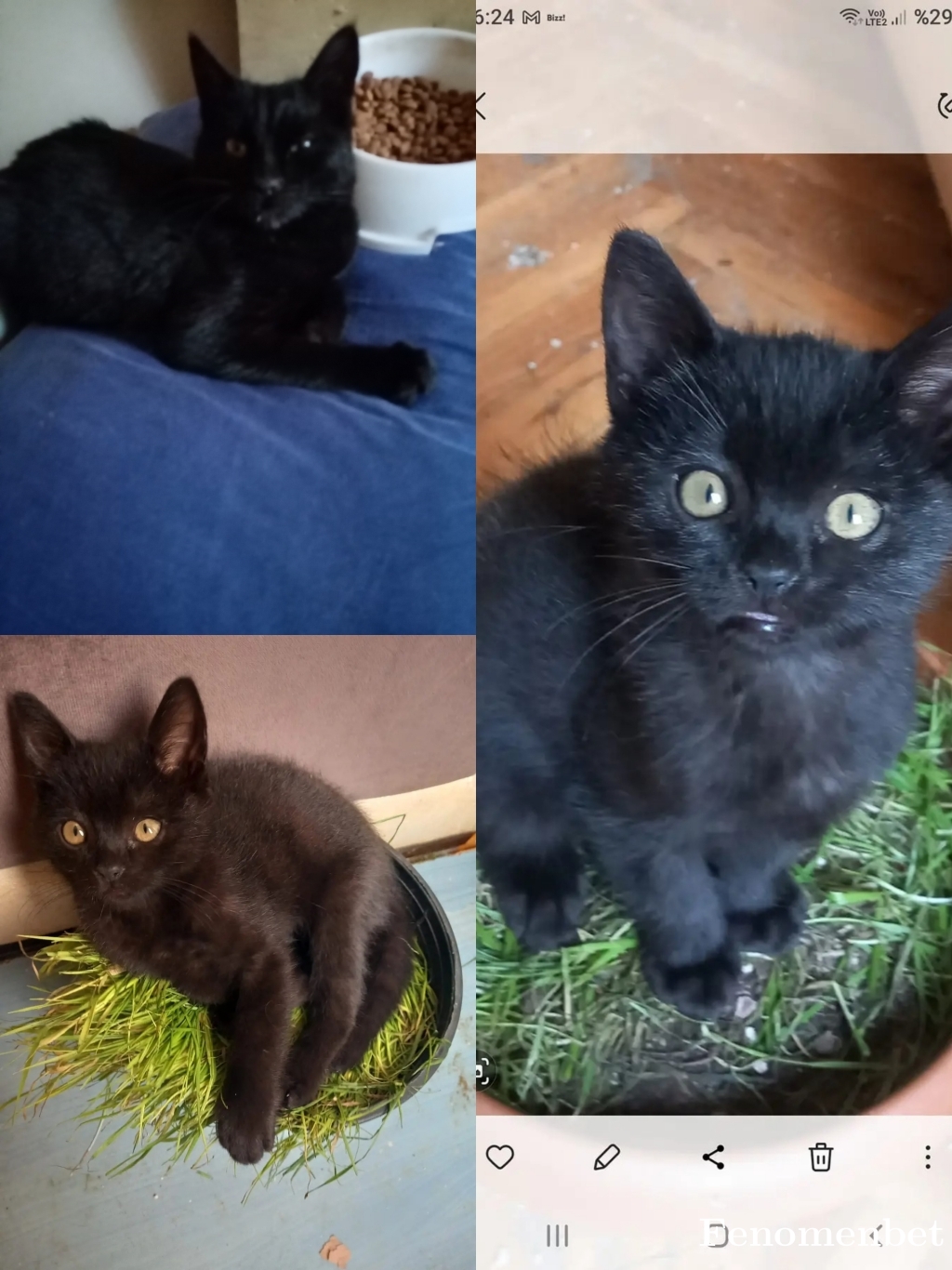 emineayturaz tarafından paylaşıldı