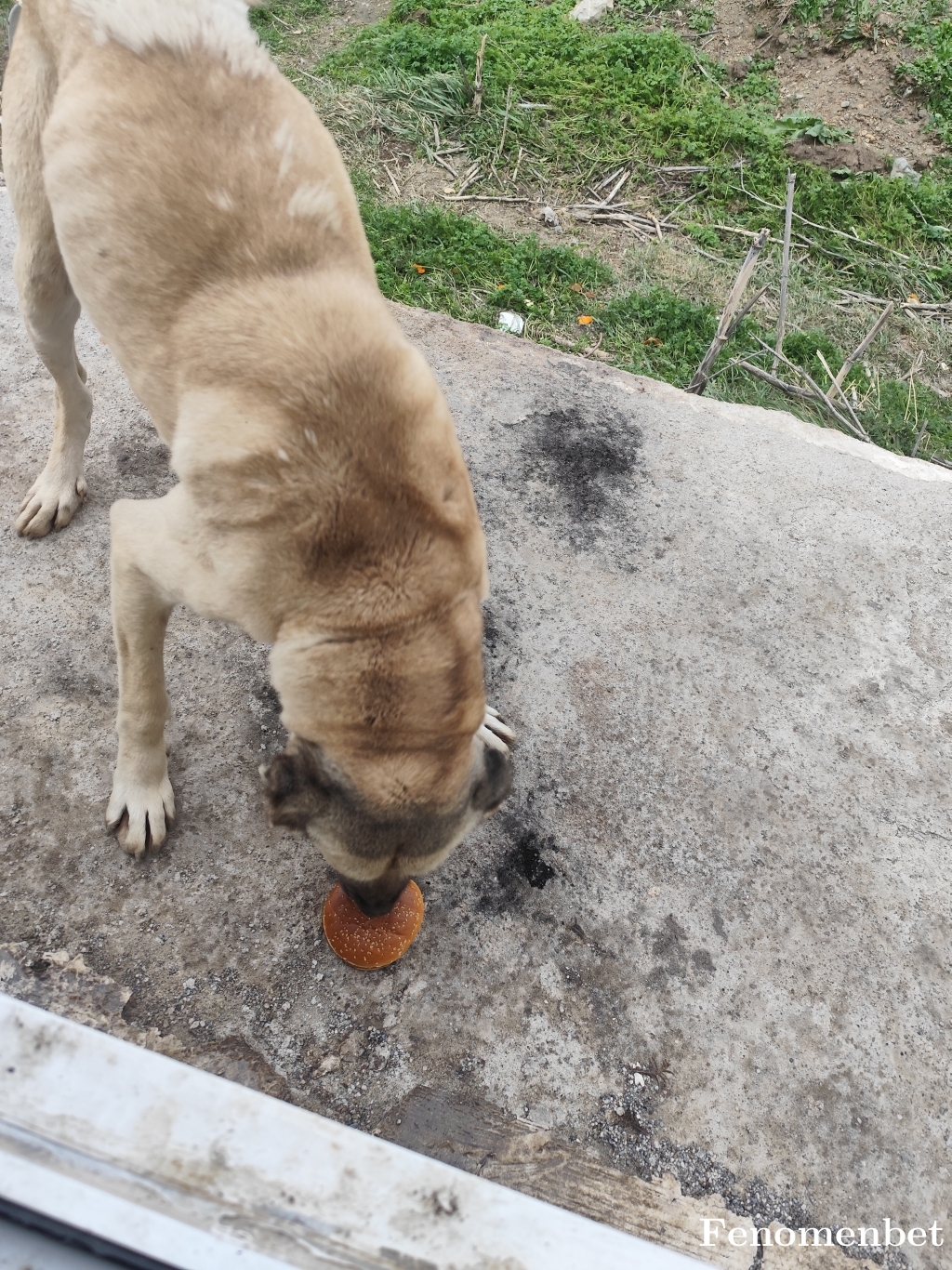 Baretta55 tarafından paylaşıldı