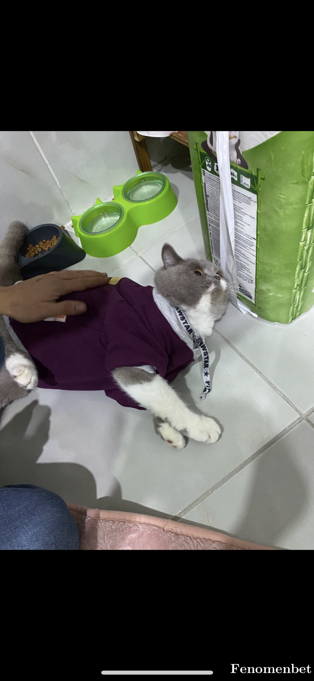 Alpfatih tarafından paylaşıldı