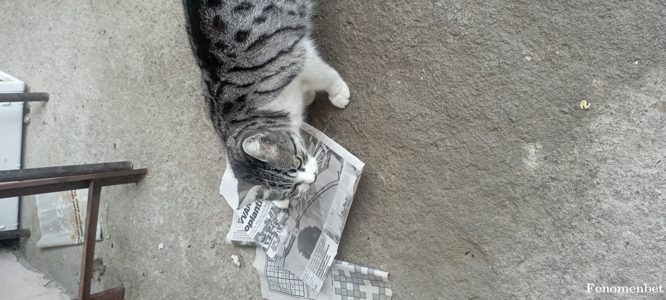 HUSO487 tarafından paylaşıldı