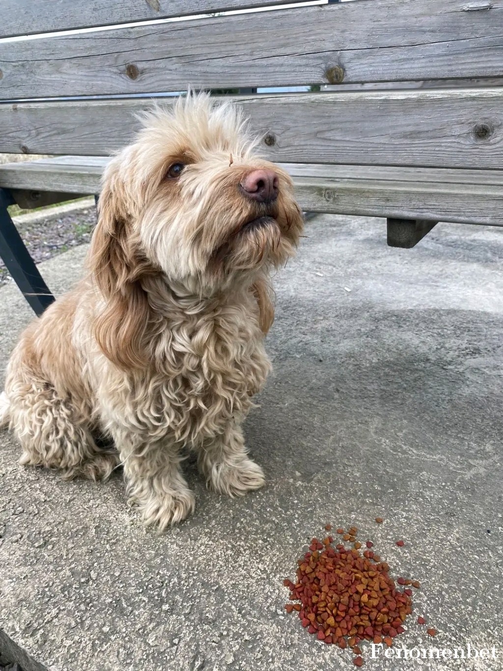 emreece tarafından paylaşıldı