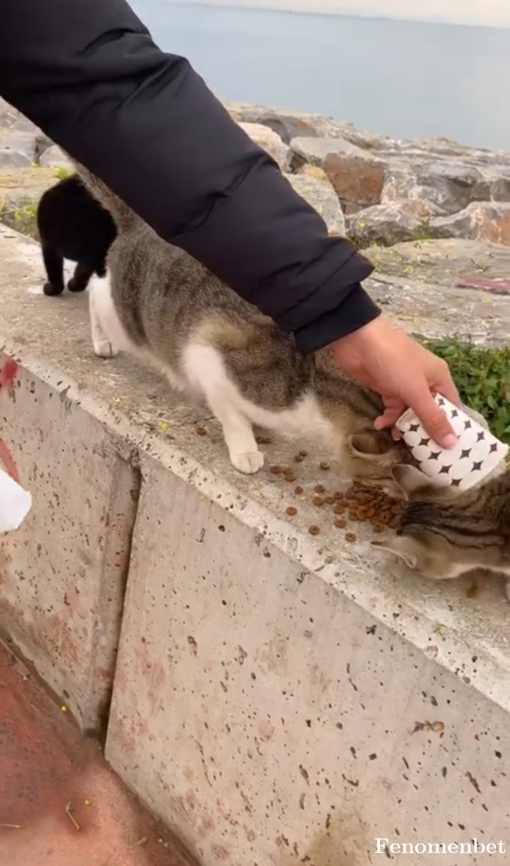 Maxxi11 tarafından paylaşıldı