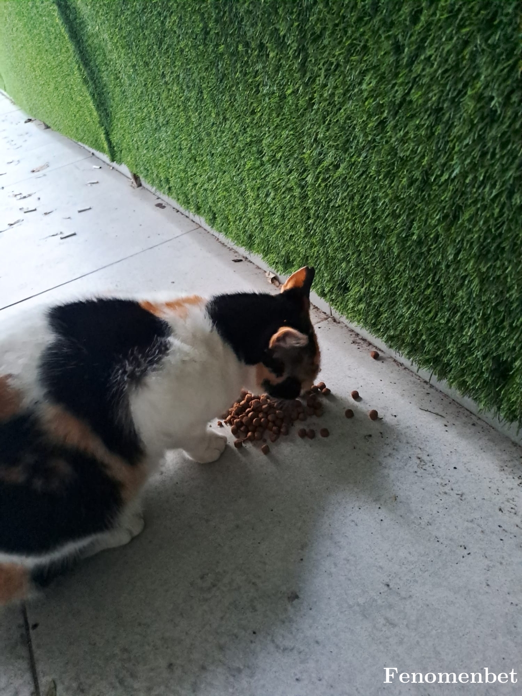 Sevoooooo tarafından paylaşıldı