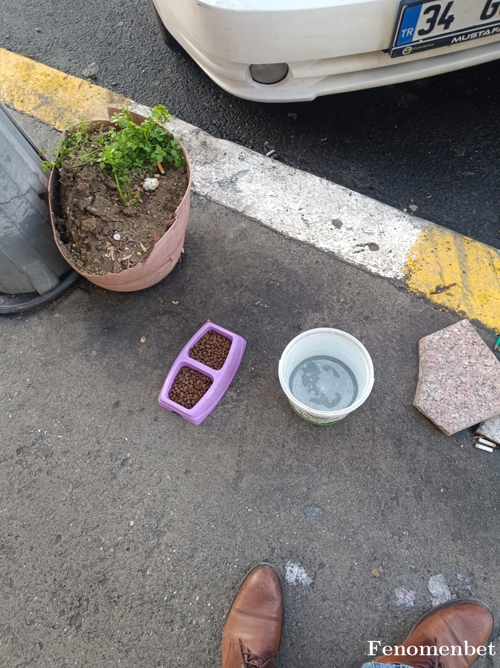 kelebek9586 tarafından paylaşıldı