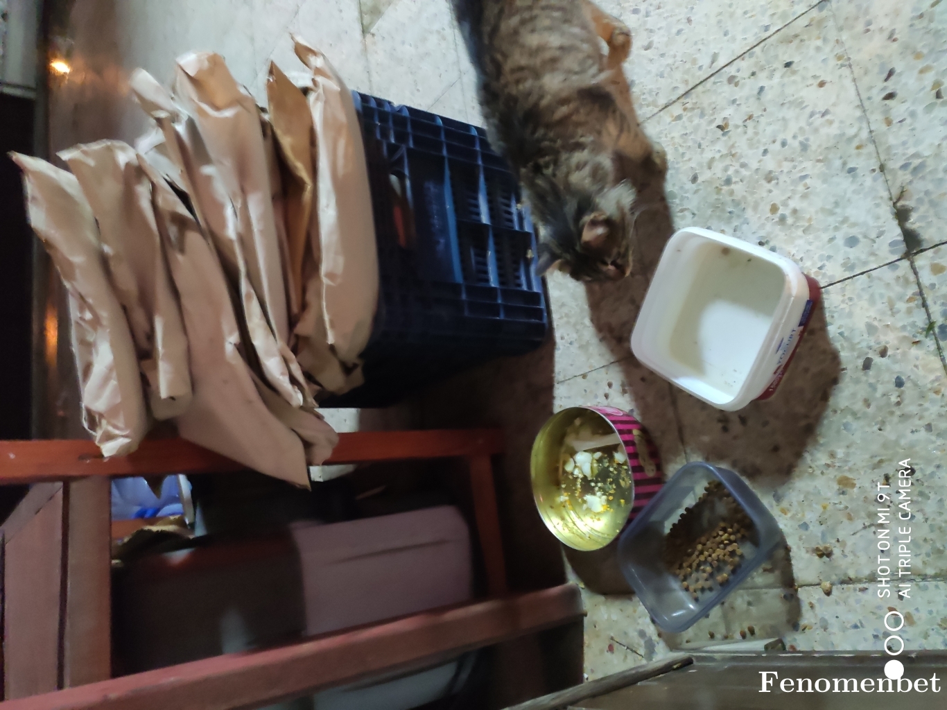 Alexxx07 tarafından paylaşıldı