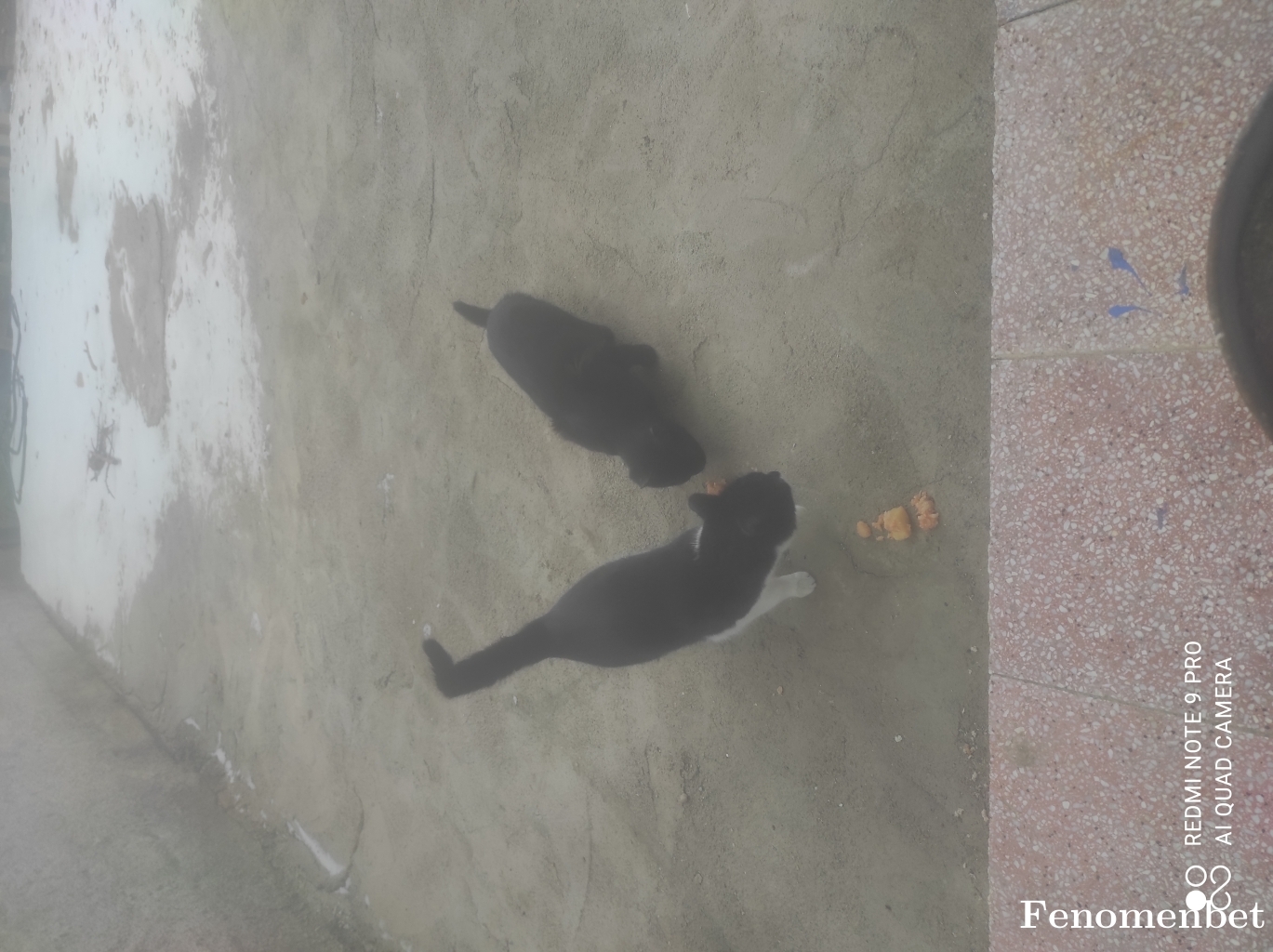 Burak111 tarafından paylaşıldı