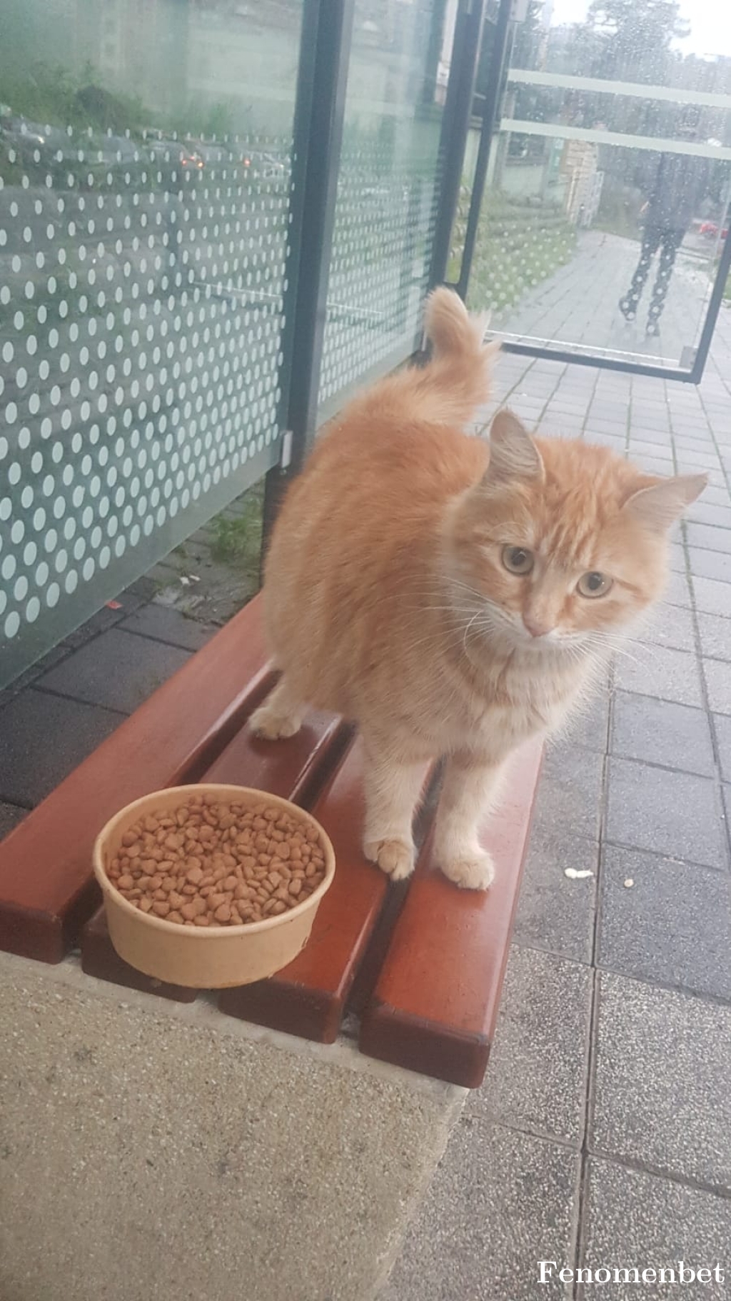 34FATSALI34 tarafından paylaşıldı