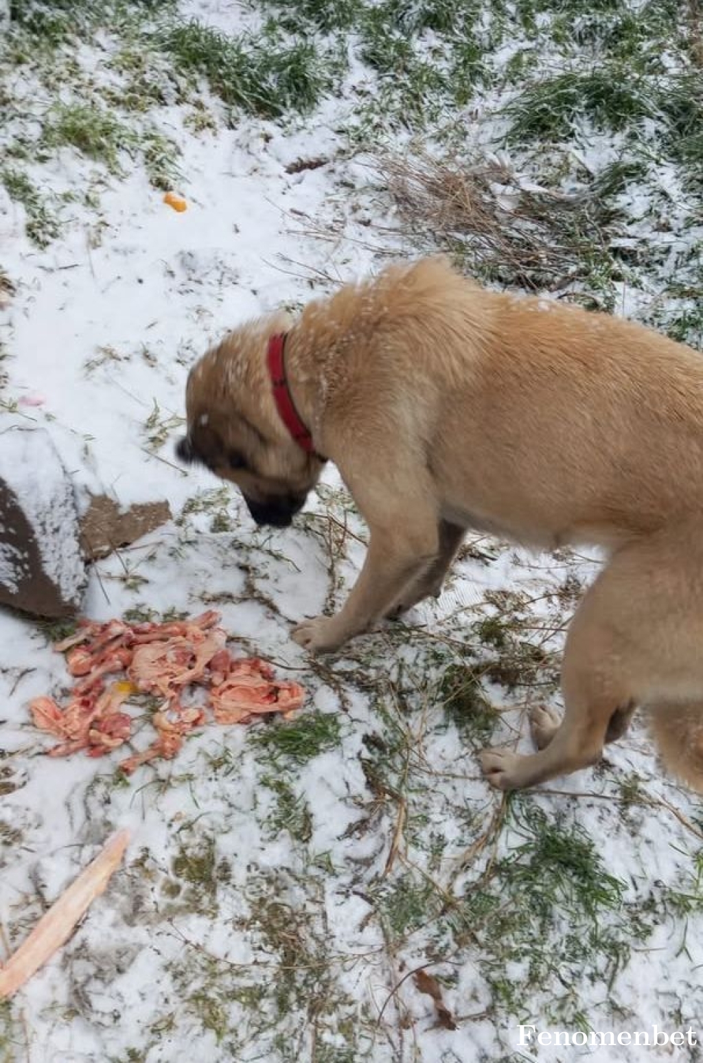 Beril3221 tarafından paylaşıldı