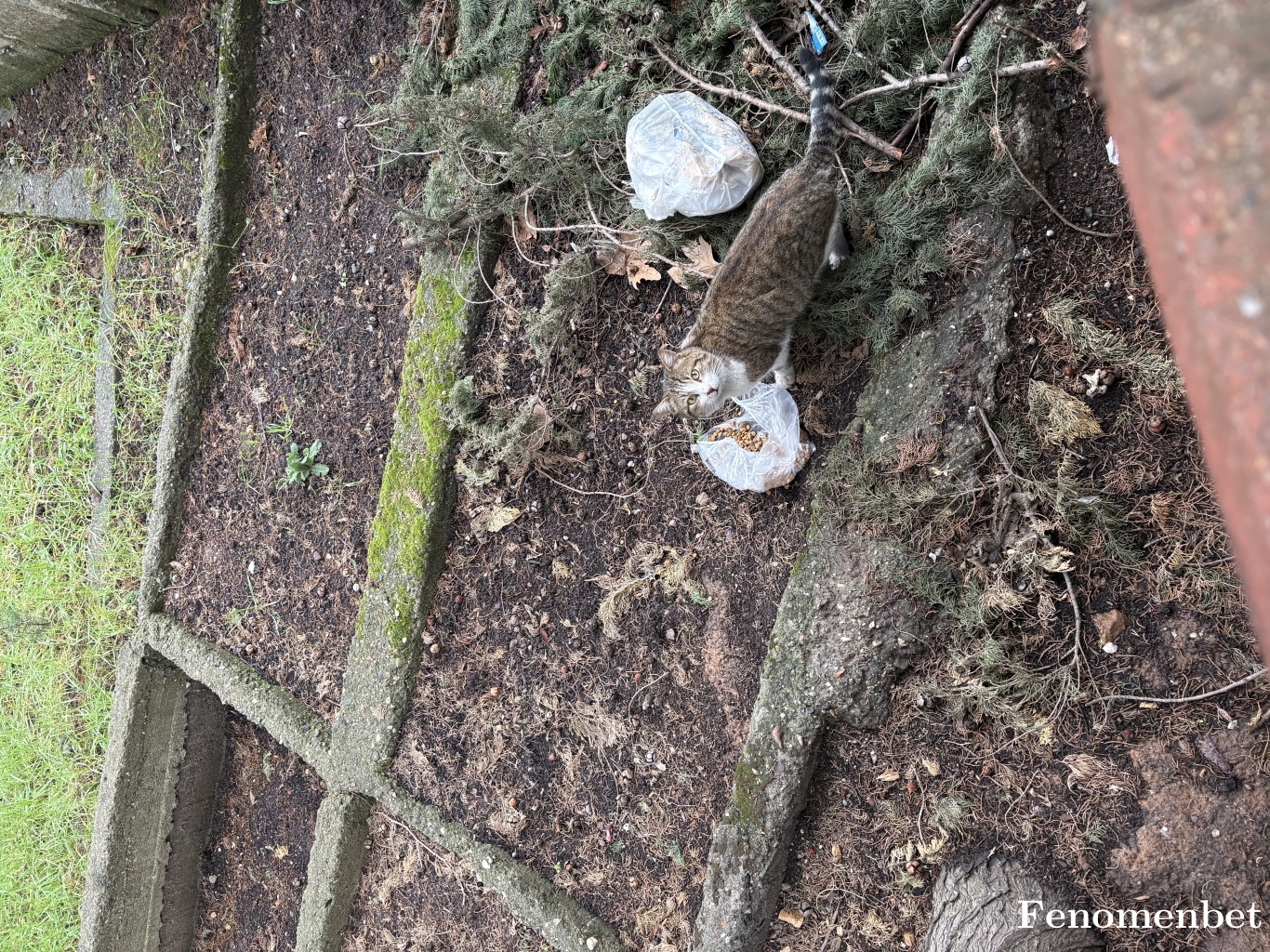 Zagor1 tarafından paylaşıldı