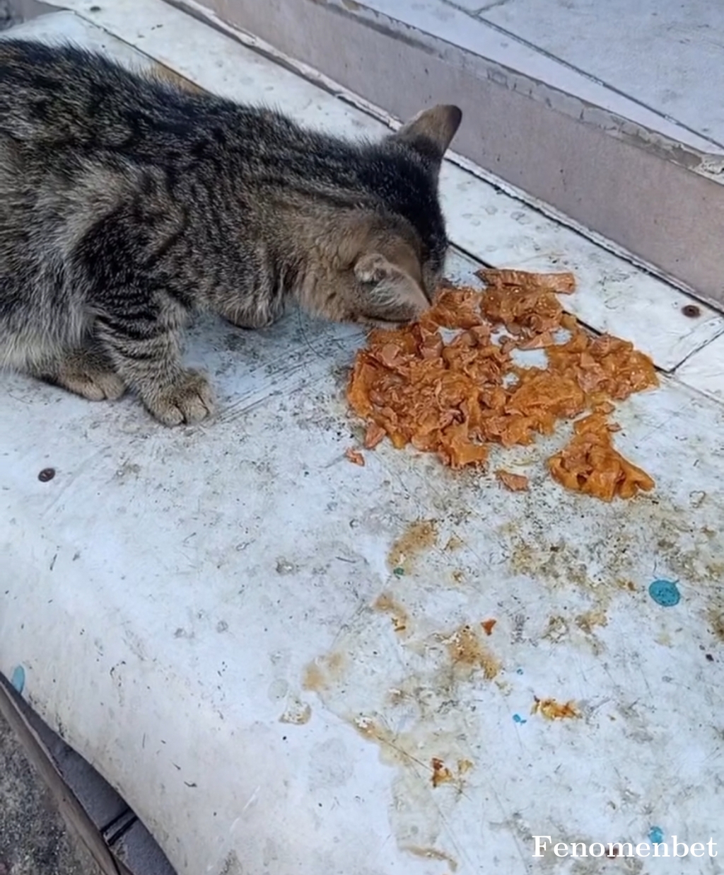 Oguz575859 tarafından paylaşıldı