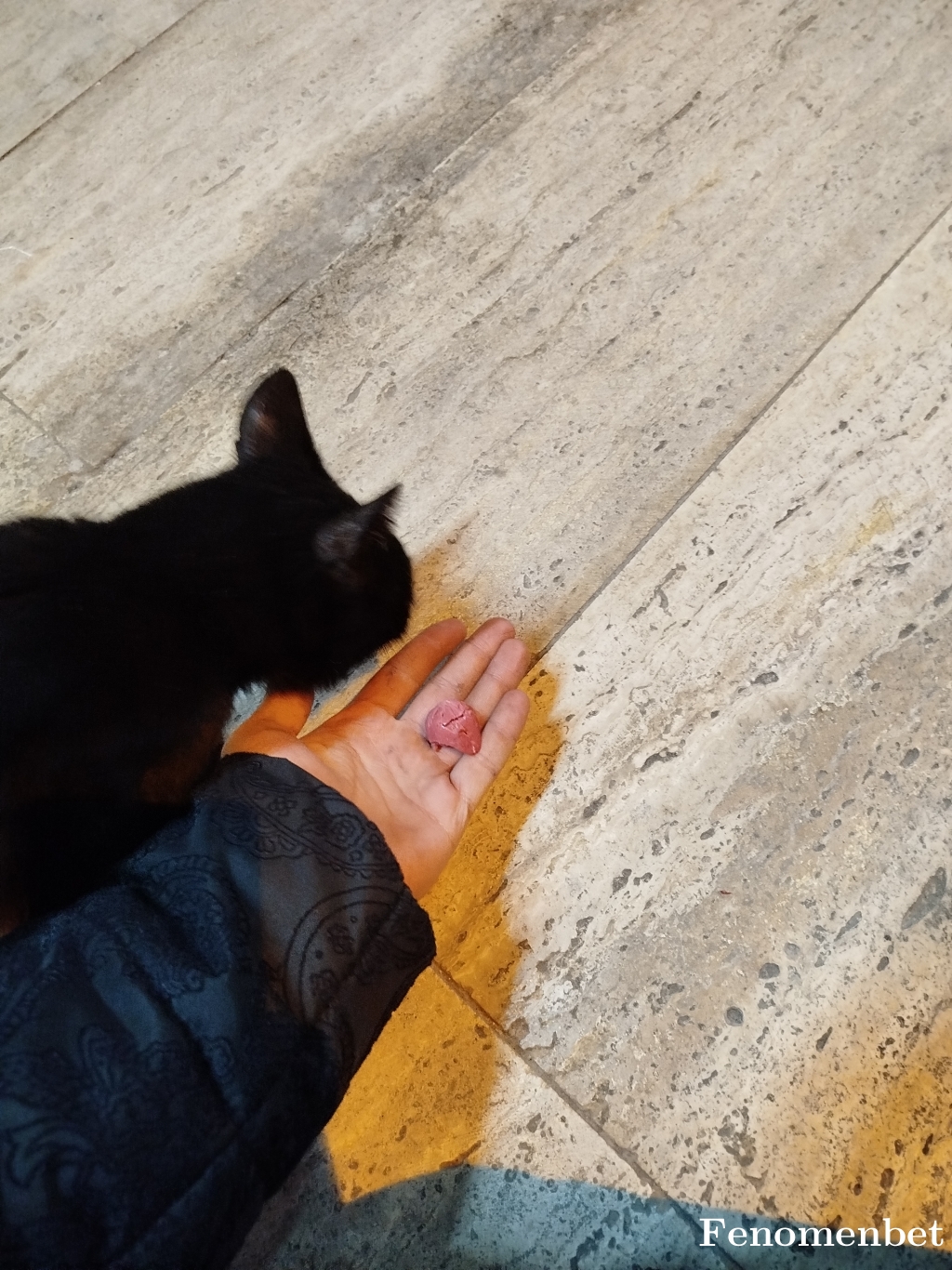 Mustafaege21 tarafından paylaşıldı