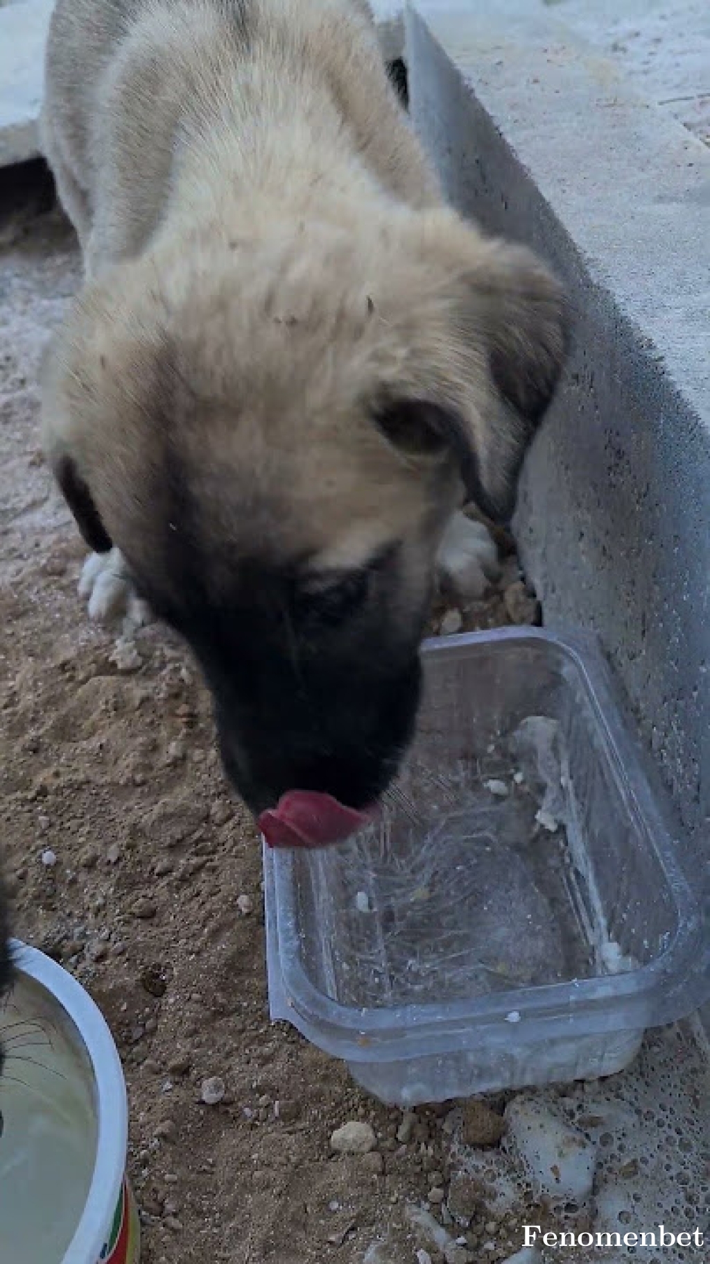 rgcness tarafından paylaşıldı