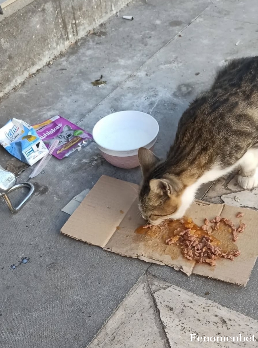 vedau30 tarafından paylaşıldı