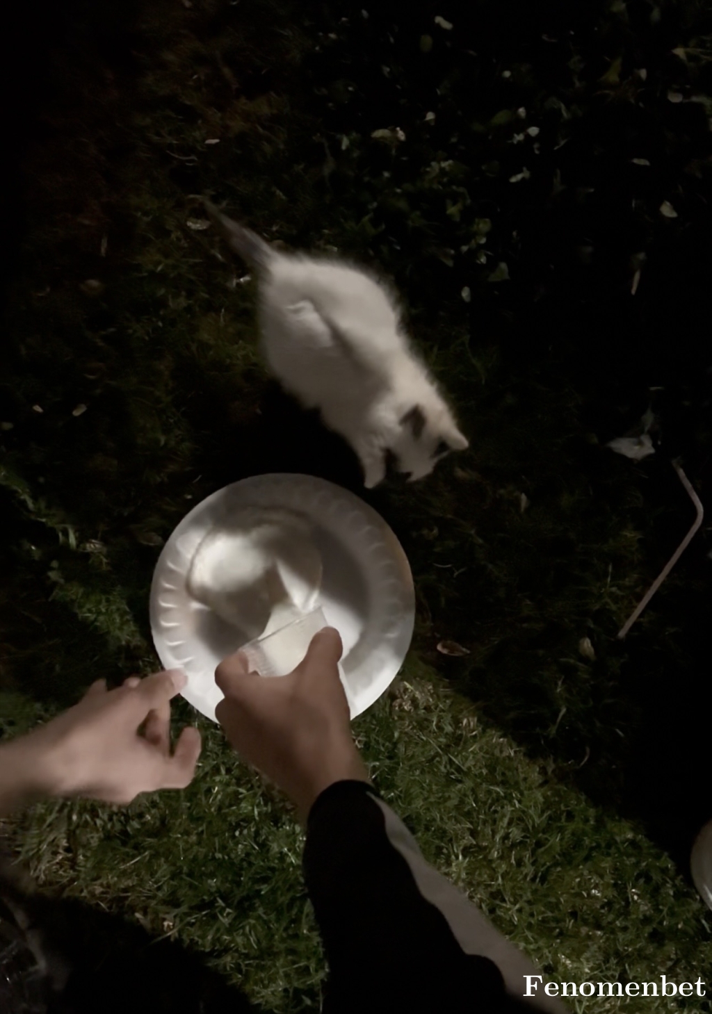 Ako2781 tarafından paylaşıldı