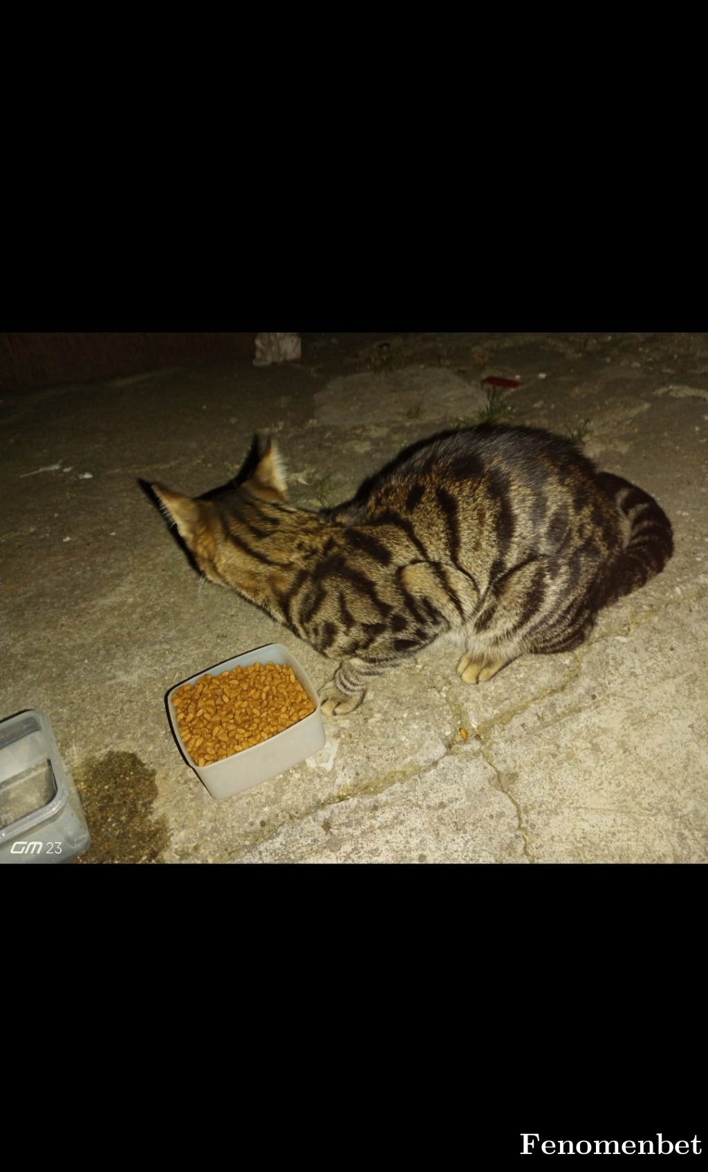 Zeze0621 tarafından paylaşıldı